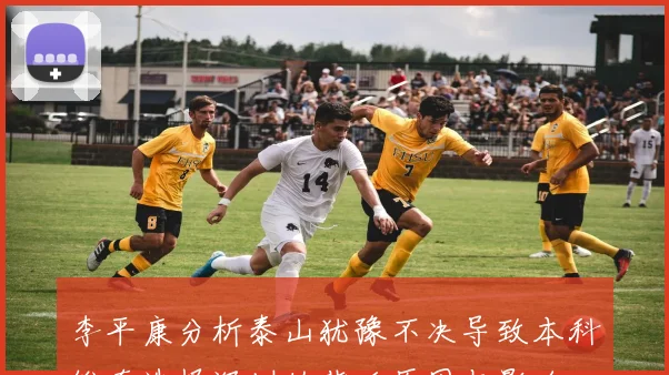 李平康分析泰山犹豫不决导致本科维奇选择深圳的背后原因与影响