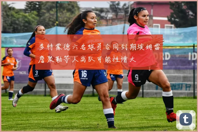 多特蒙德六名球员合同到期埃姆雷詹聚勒等人离队可能性增大