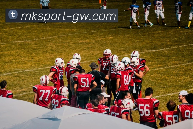 MK体育品牌故事