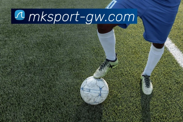 MK体育服务体系